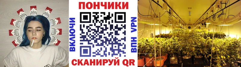 Какие есть наркотики Севастополь mega ссылки  Марихуана  Кокаин  APVP 