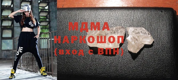 индика Надым