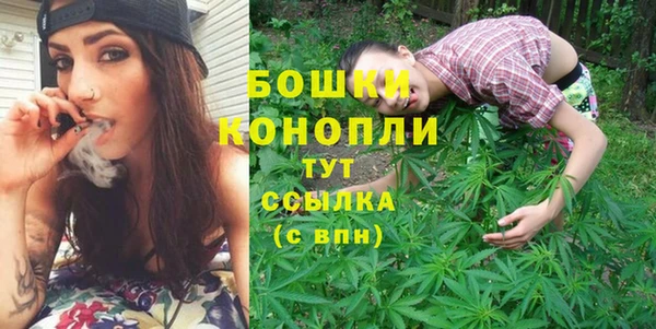 индика Надым