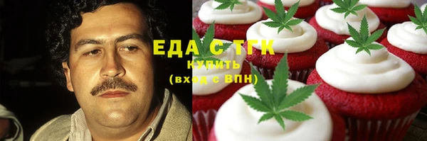 индика Надым