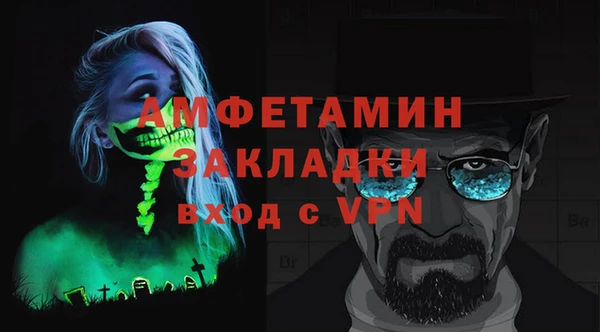 индика Надым
