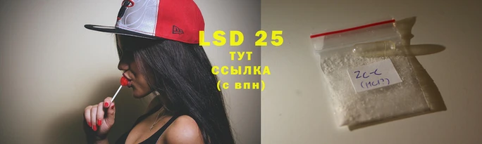 винт Наволоки