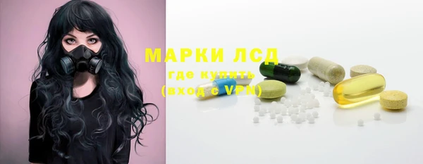 индика Надым