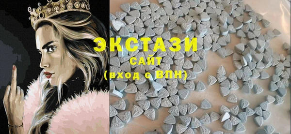 индика Надым
