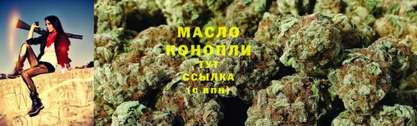 индика Надым