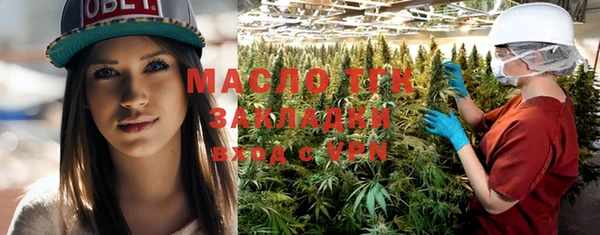 индика Надым