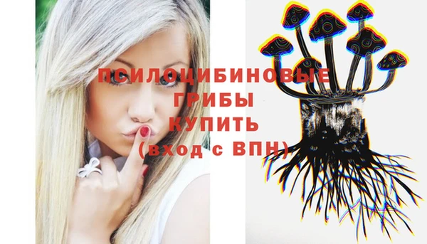 винт Наволоки