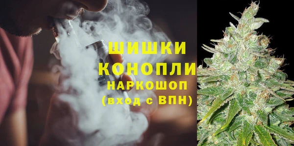 индика Надым