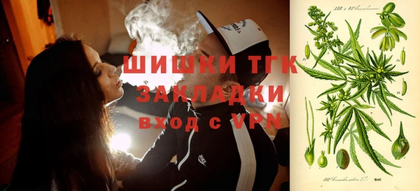 индика Надым