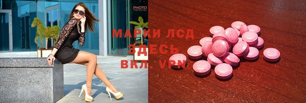 индика Надым