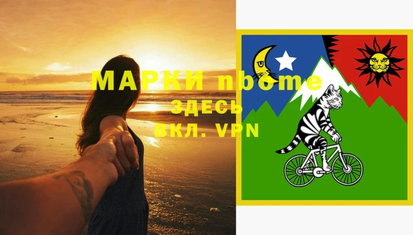 индика Надым