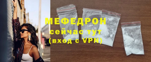 индика Надым
