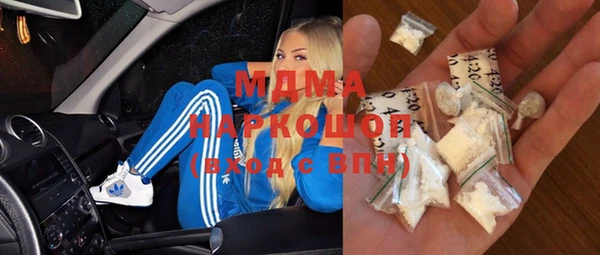 индика Надым