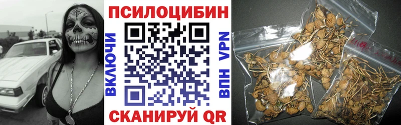 как найти закладки Севастополь Псилоцибиновые грибы MAGIC MUSHROOMS